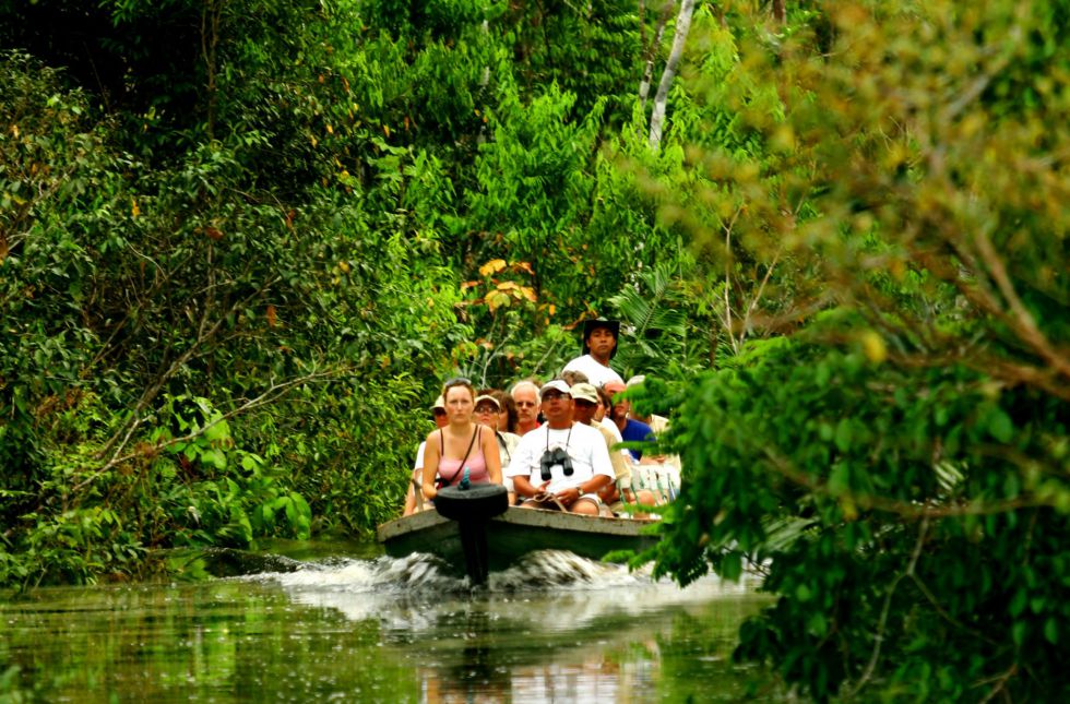 przygoda w Amazoni